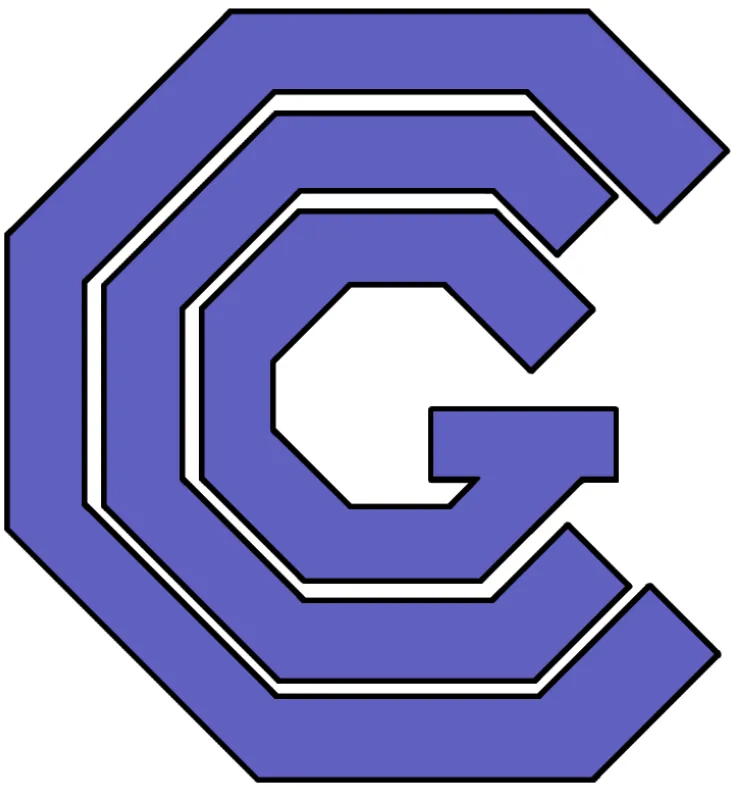 Conveying Controls L.L.C. logo